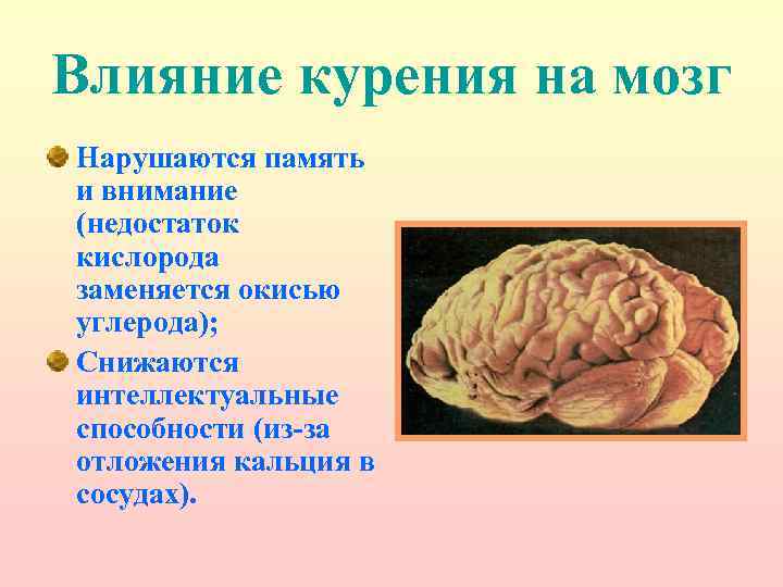 Влияние курения на мозг Нарушаются память и внимание (недостаток кислорода заменяется окисью углерода); Снижаются