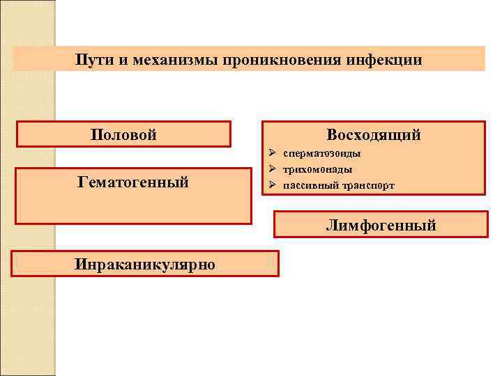 Пути и механизмы проникновения инфекции Половой Гематогенный Восходящий Ø сперматозоиды Ø трихомонады Ø пассивный