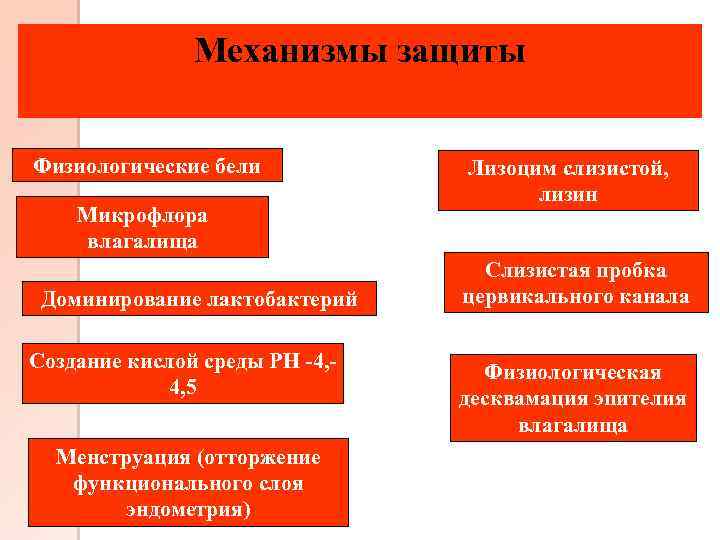 Механизмы защиты Физиологические бели Микрофлора влагалища Доминирование лактобактерий Создание кислой среды РН -4, 4,