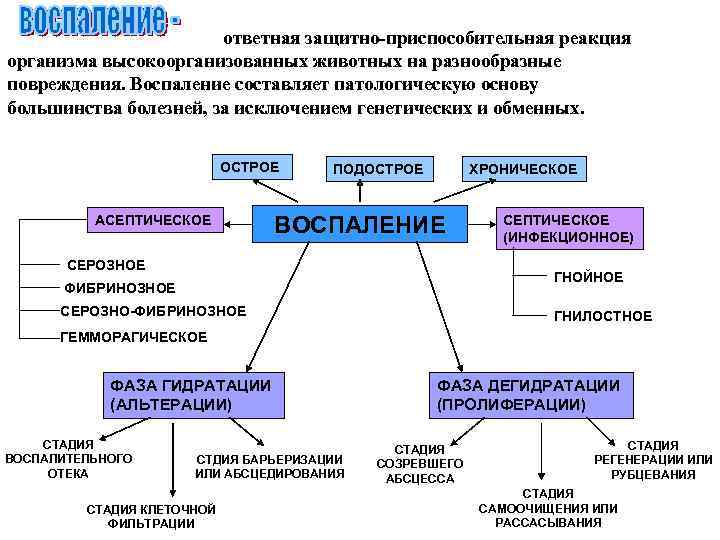 ответная защитно-приспособительная реакция организма высокоорганизованных животных на разнообразные повреждения. Воспаление составляет патологическую основу большинства