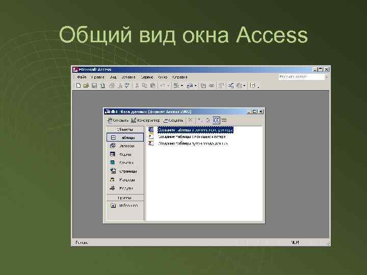 Общий вид окна Access 