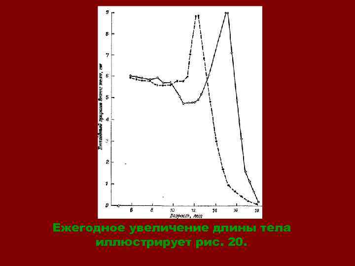 Ежегодное увеличение длины тела иллюстрирует рис. 20. 