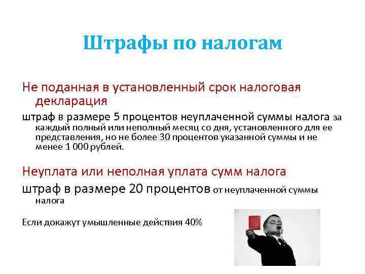 Штрафы по налогам Не поданная в установленный срок налоговая декларация штраф в размере 5