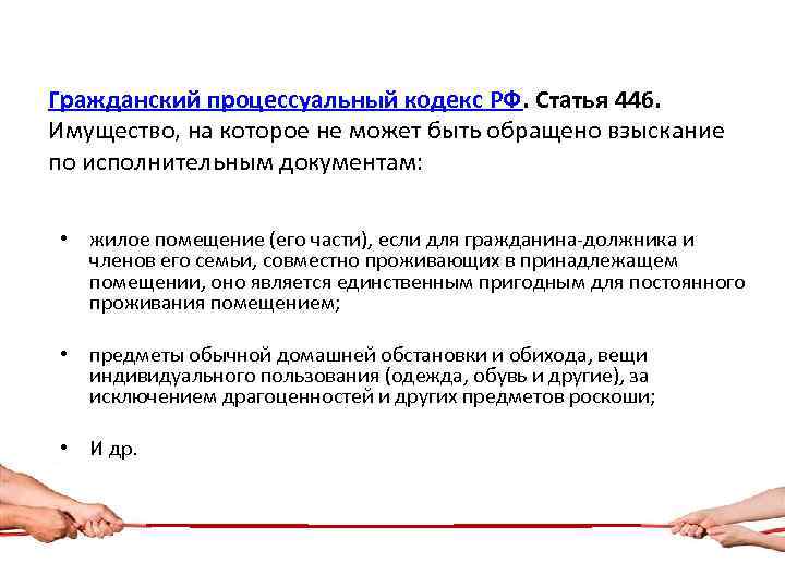 Гражданский процессуальный кодекс РФ. Статья 446. Имущество, на которое не может быть обращено взыскание
