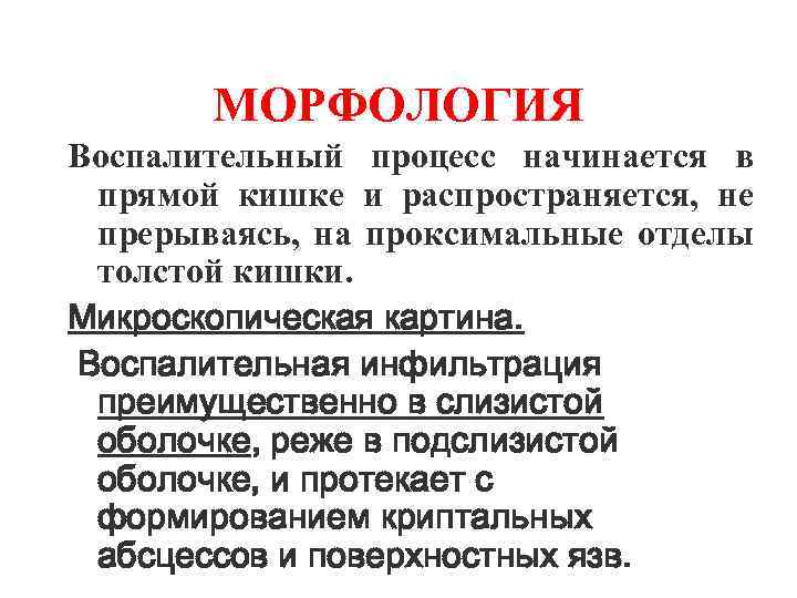 МОРФОЛОГИЯ Воспалительный процесс начинается в прямой кишке и распространяется, не прерываясь, на проксимальные отделы