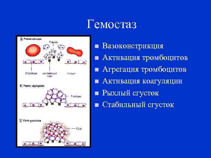 Гемостаз картинки для презентации