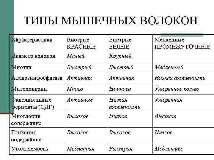 ТИПЫ МЫШЕЧНЫХ ВОЛОКОН Характеристики Быстрые КРАСНЫЕ Быстрые БЕЛЫЕ Медленные ПРОМЕЖУТОЧНЫЕ Диаметр волокон Малый Крупный