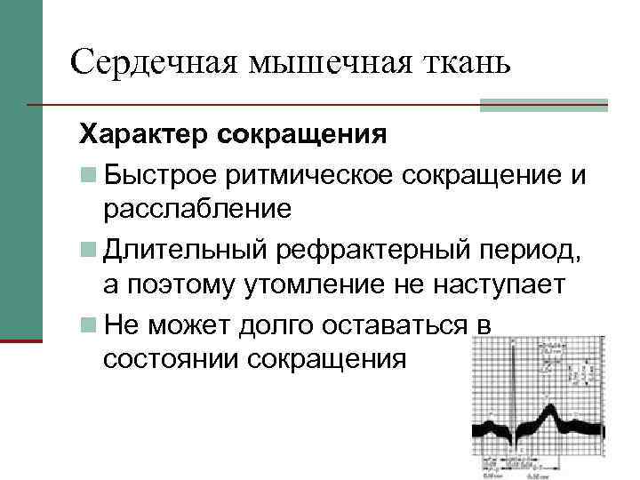 Сердечная мышечная ткань Характер сокращения n Быстрое ритмическое сокращение и расслабление n Длительный рефрактерный