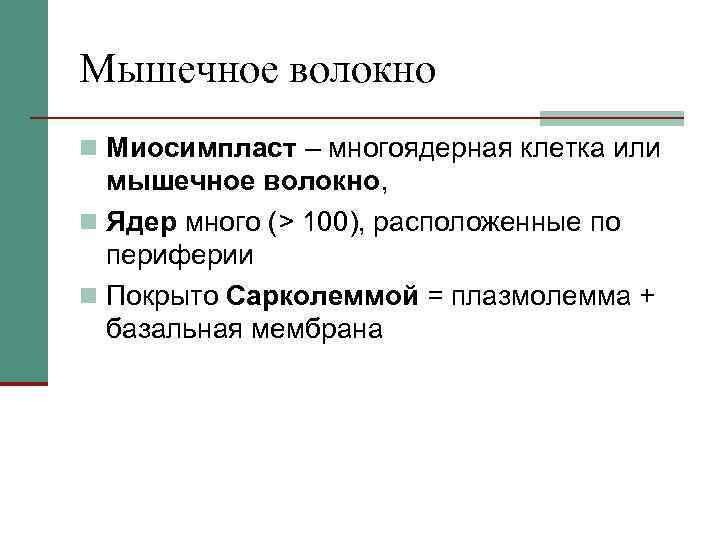 Мышечное волокно n Миосимпласт – многоядерная клетка или мышечное волокно, n Ядер много (>