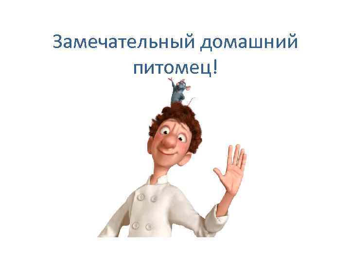 Замечательный домашний питомец! 