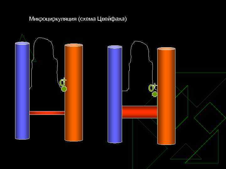 Микроциркуляция (схема Цвейфаха) 