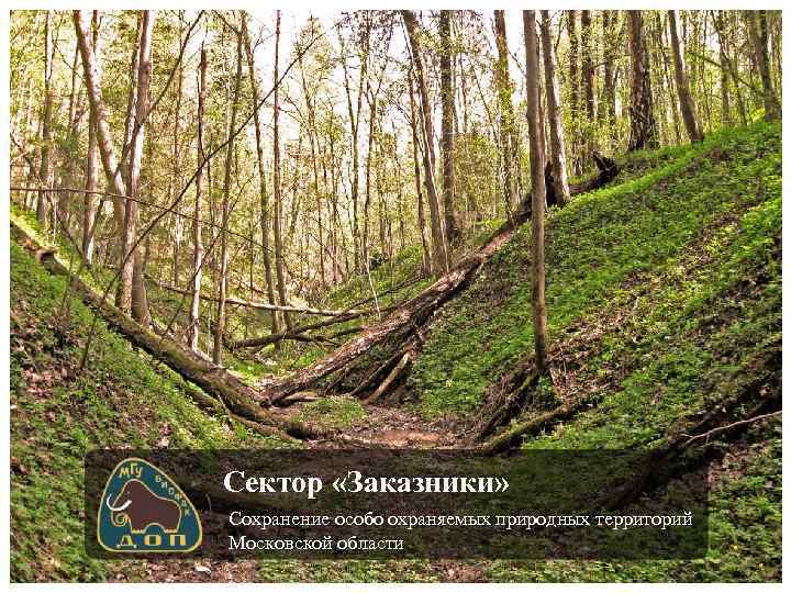 Сектор «Заказники» Сохранение особо охраняемых природных территорий Московской области 