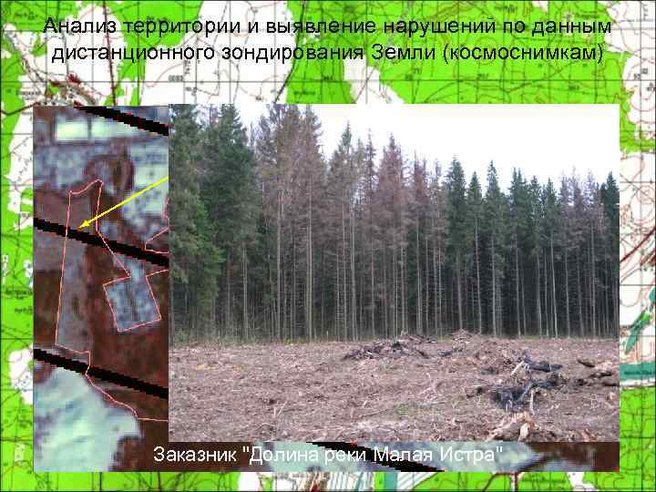 Анализ территории и выявление нарушений по данным дистанционного зондирования Земли (космоснимкам) вырубки застройка Заказник