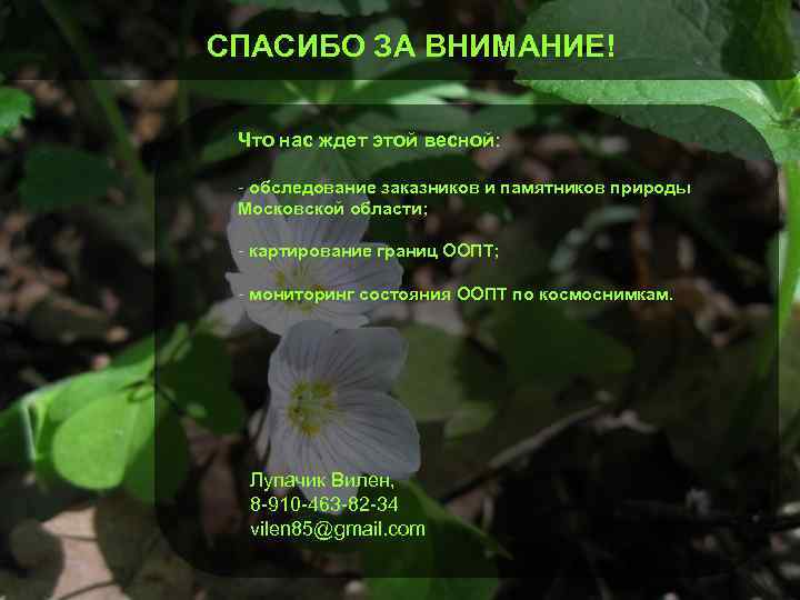 СПАСИБО ЗА ВНИМАНИЕ! Что нас ждет этой весной: - обследование заказников и памятников природы