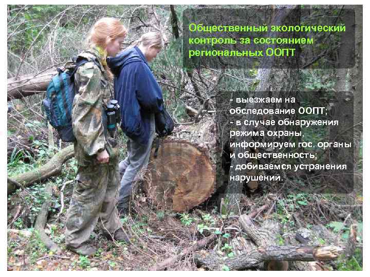 Общественный экологический контроль за состоянием региональных ООПТ - выезжаем на обследование ООПТ; - в