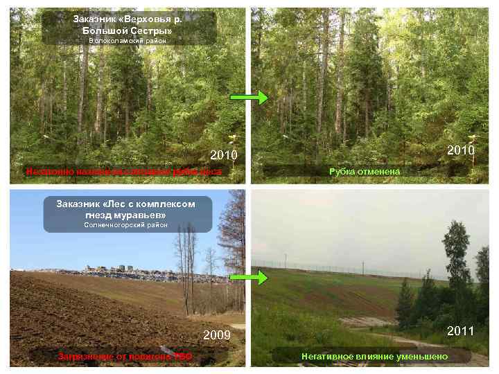 Заказник «Верховья р. Большой Сестры» Волоколамский район 2010 Незаконно назначена сплошная рубка леса Рубка