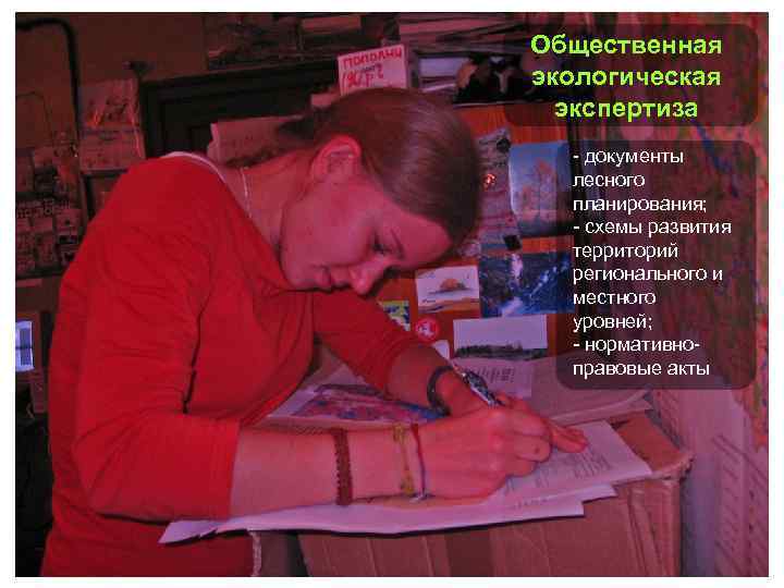 Общественная экологическая экспертиза - документы лесного планирования; - схемы развития территорий регионального и местного
