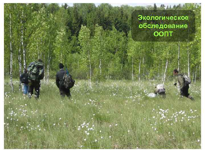 Экологическое обследование ООПТ 