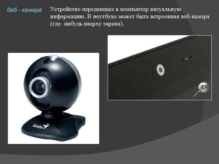Веб - камера Устройство передающее в компьютер визуальную информацию. В ноутбуке может быть встроенная