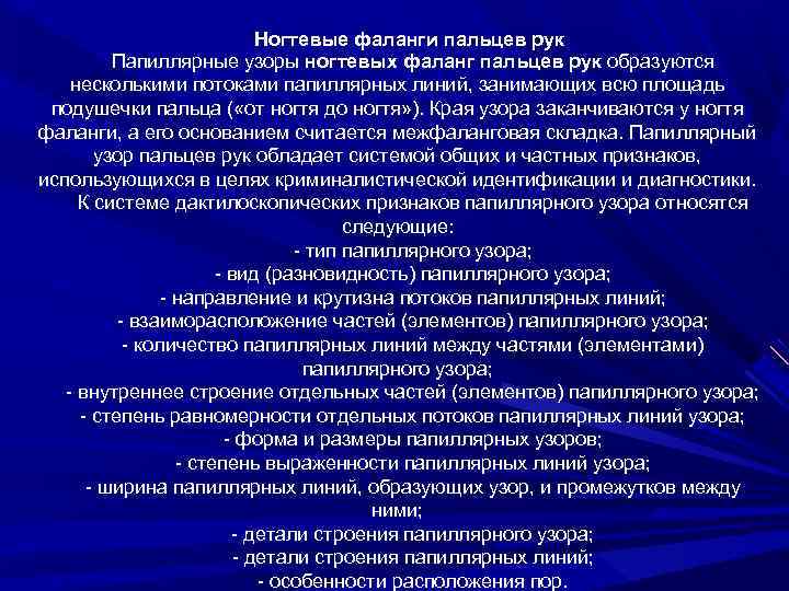 Ногтевые фаланги пальцев рук Папиллярные узоры ногтевых фаланг пальцев рук образуются несколькими потоками папиллярных
