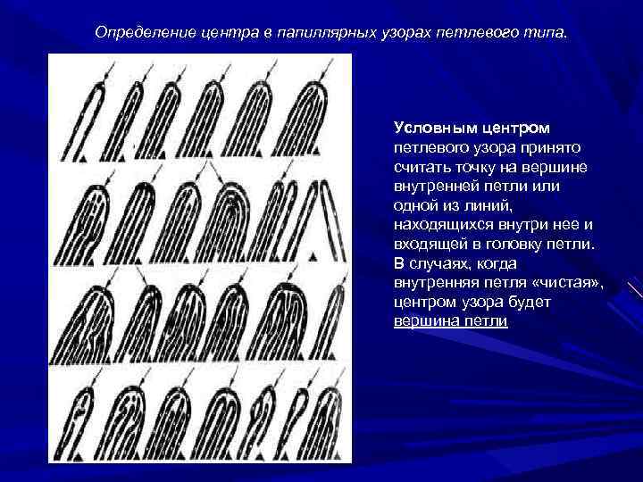 Какими структурами обусловлен рисунок кожи на подушечках пальцев