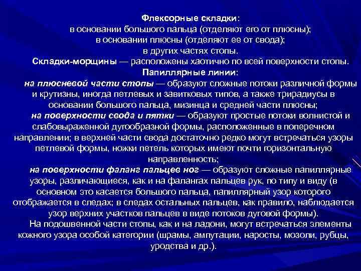 Флексорные складки: в основании большого пальца (отделяют его от плюсны); в основании плюсны (отделяют