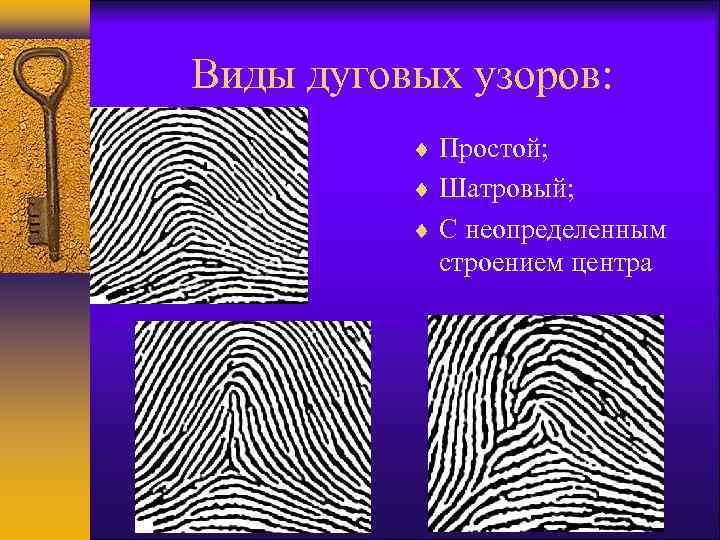 Виды дуговых узоров: Простой; Шатровый; С неопределенным строением центра 