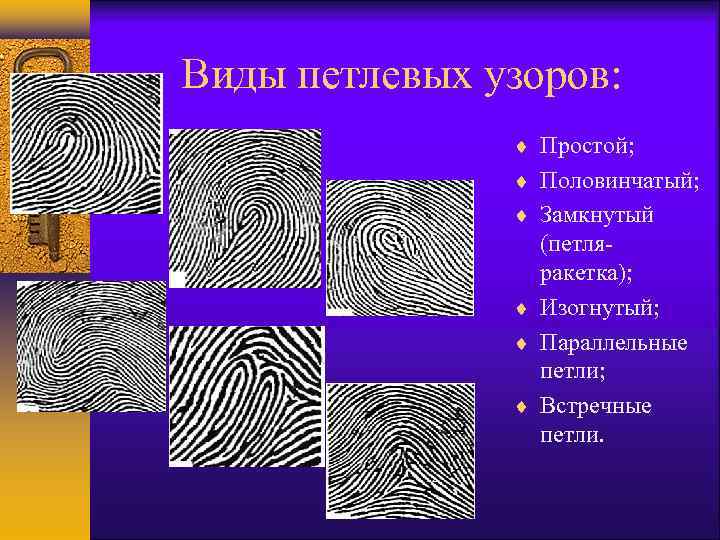 Виды петлевых узоров: Простой; Половинчатый; Замкнутый (петляракетка); Изогнутый; Параллельные петли; Встречные петли. 