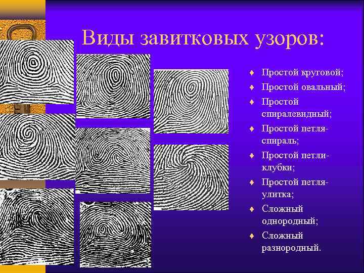 Виды завитковых узоров: Простой круговой; Простой овальный; Простой спиралевидный; Простой петляспираль; Простой петликлубки; Простой