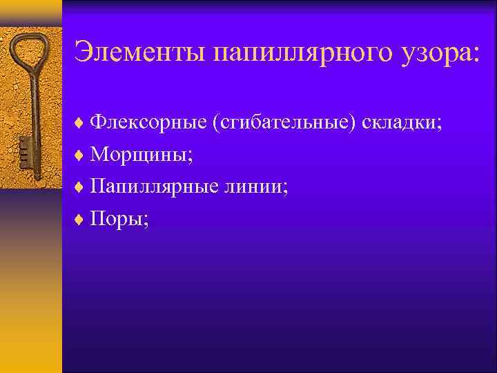 Элементы папиллярного узора: Флексорные (сгибательные) складки; Морщины; Папиллярные линии; Поры; 