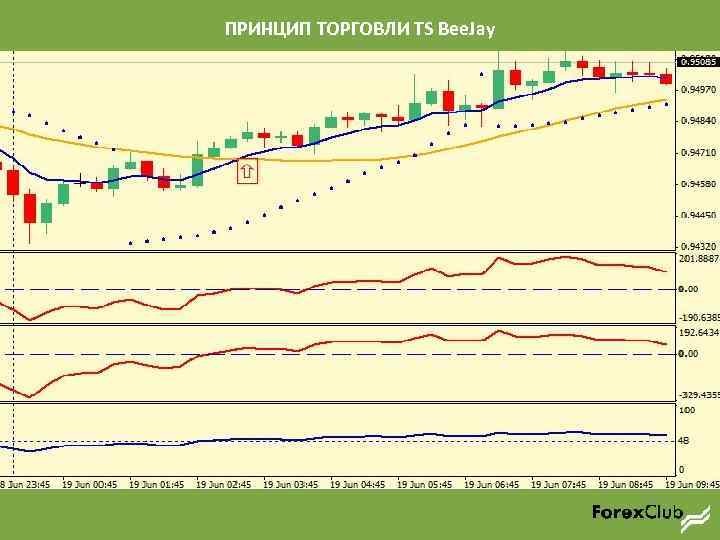 ПРИНЦИП ТОРГОВЛИ TS Bee. Jay 
