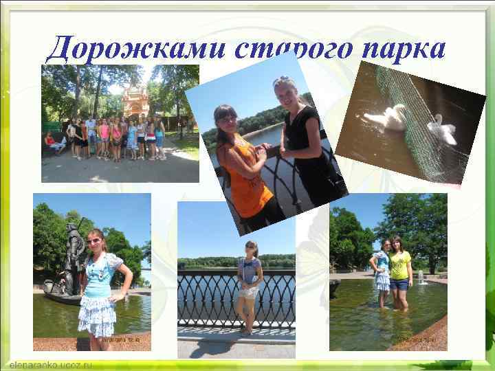 Дорожками старого парка 