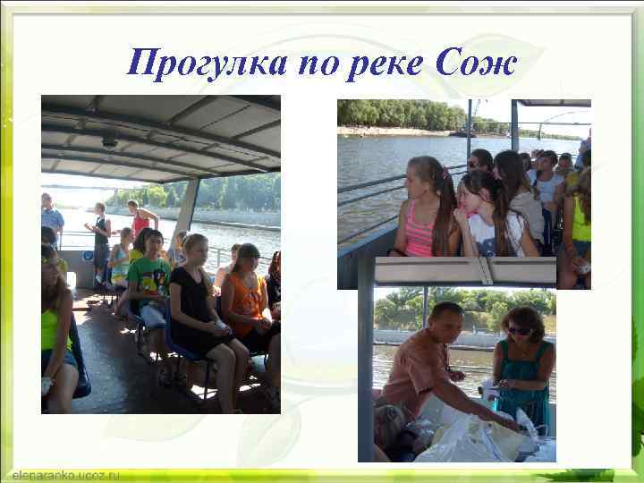 Прогулка по реке Сож 