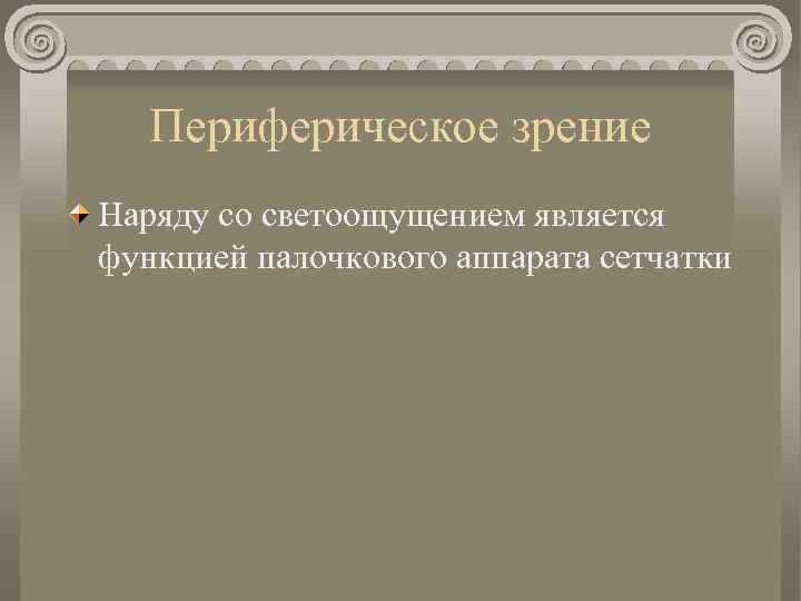 Периферическое зрение Наряду со светоощущением является функцией палочкового аппарата сетчатки 