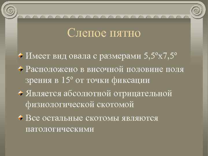 Слепое пятно Имеет вид овала с размерами 5, 5ºx 7, 5º Расположено в височной