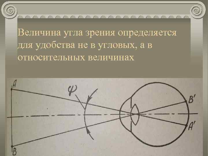 Величина угла зрения определяется для удобства не в угловых, а в относительных величинах 