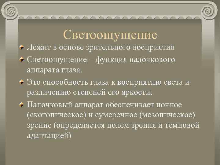 Светоощущение Лежит в основе зрительного восприятия Светоощущение – функция палочкового аппарата глаза. Это способность