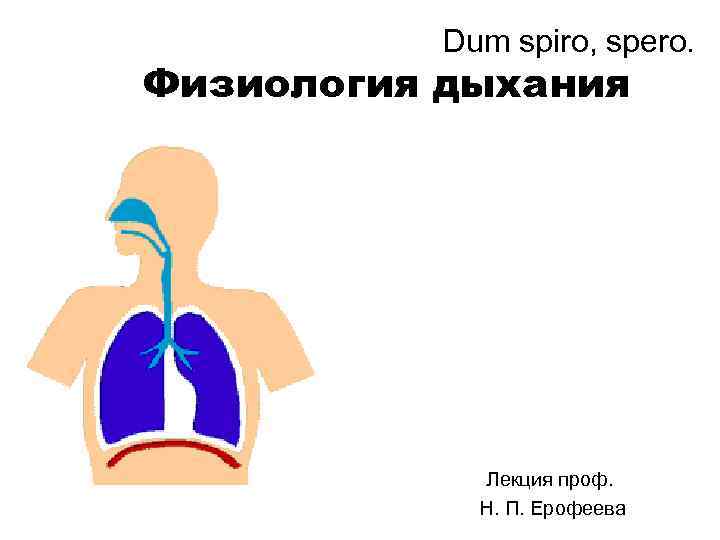 Dum spiro, spero. Физиология дыхания Лекция проф. Н. П. Ерофеева 
