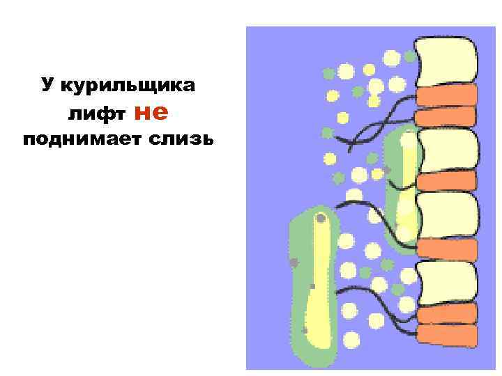 У курильщика лифт не поднимает слизь 