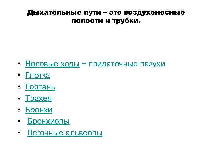 Дыхательные пути – это воздухоносные полости и трубки. • • Носовые ходы + придаточные