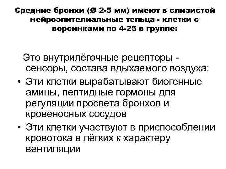 Средние бронхи (Ø 2 -5 мм) имеют в слизистой нейроэпителиальные тельца - клетки с