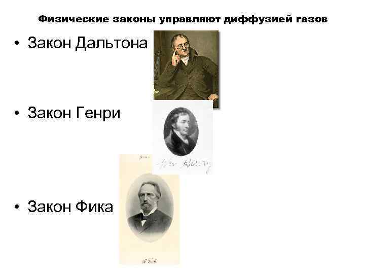 Физические законы управляют диффузией газов • Закон Дальтона • Закон Генри • Закон Фика