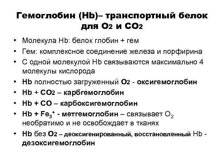 Гемоглобин (Hb)– транспортный белок для О 2 и СО 2 • Молекула Hb: белок