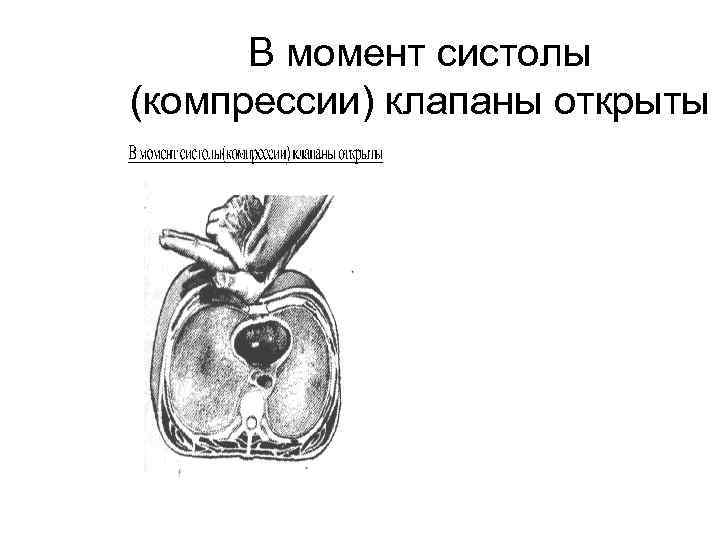 В момент систолы (компрессии) клапаны открыты 