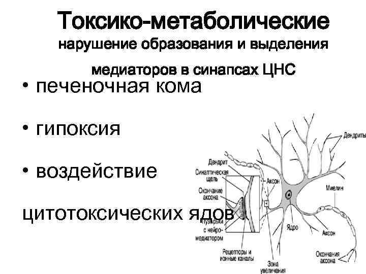 Токсико-метаболические нарушение образования и выделения медиаторов в синапсах ЦНС • печеночная кома • гипоксия