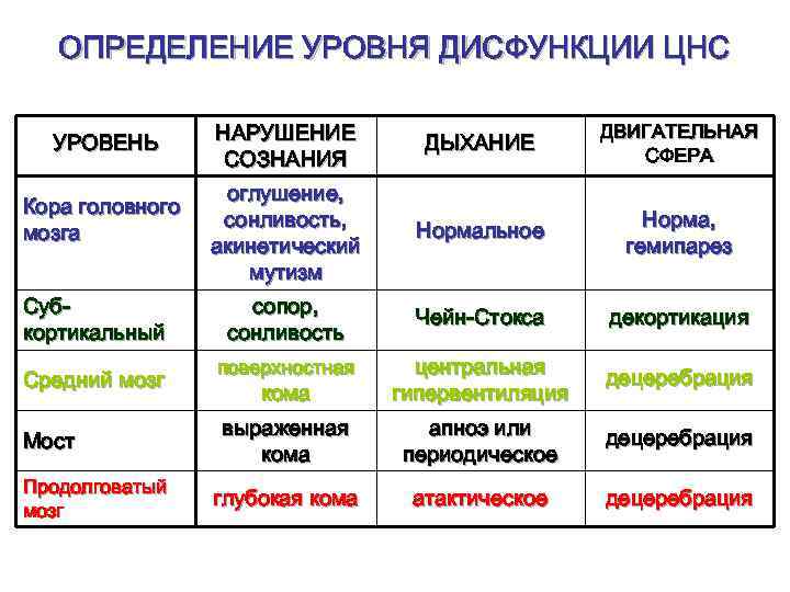 ОПРЕДЕЛЕНИЕ УРОВНЯ ДИСФУНКЦИИ ЦНС УРОВЕНЬ Кора головного мозга Субкортикальный Средний мозг Мост Продолговатый мозг