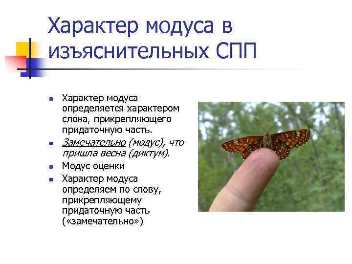 Характер модуса в изъяснительных СПП n n Характер модуса определяется характером слова, прикрепляющего придаточную