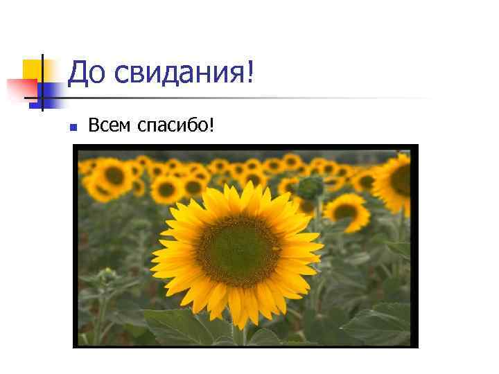 До свидания! n Всем спасибо! 