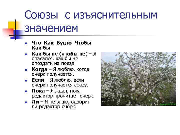 Союзы с изъяснительным значением n n n Что Как Будто Чтобы Как бы не