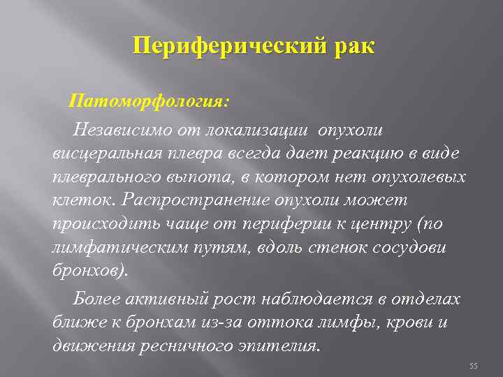 Периферический рак Патоморфология: Независимо от локализации опухоли висцеральная плевра всегда дает реакцию в виде